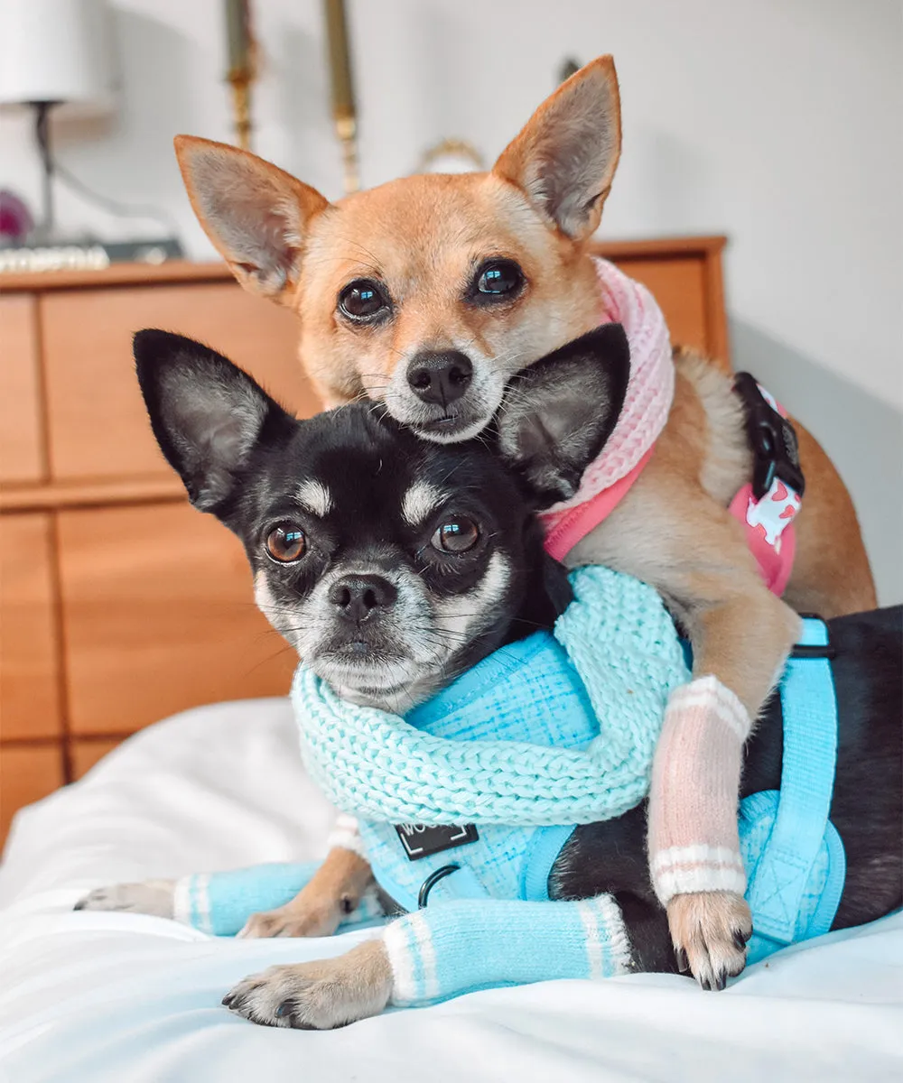Dog Leg Warmers - Pink